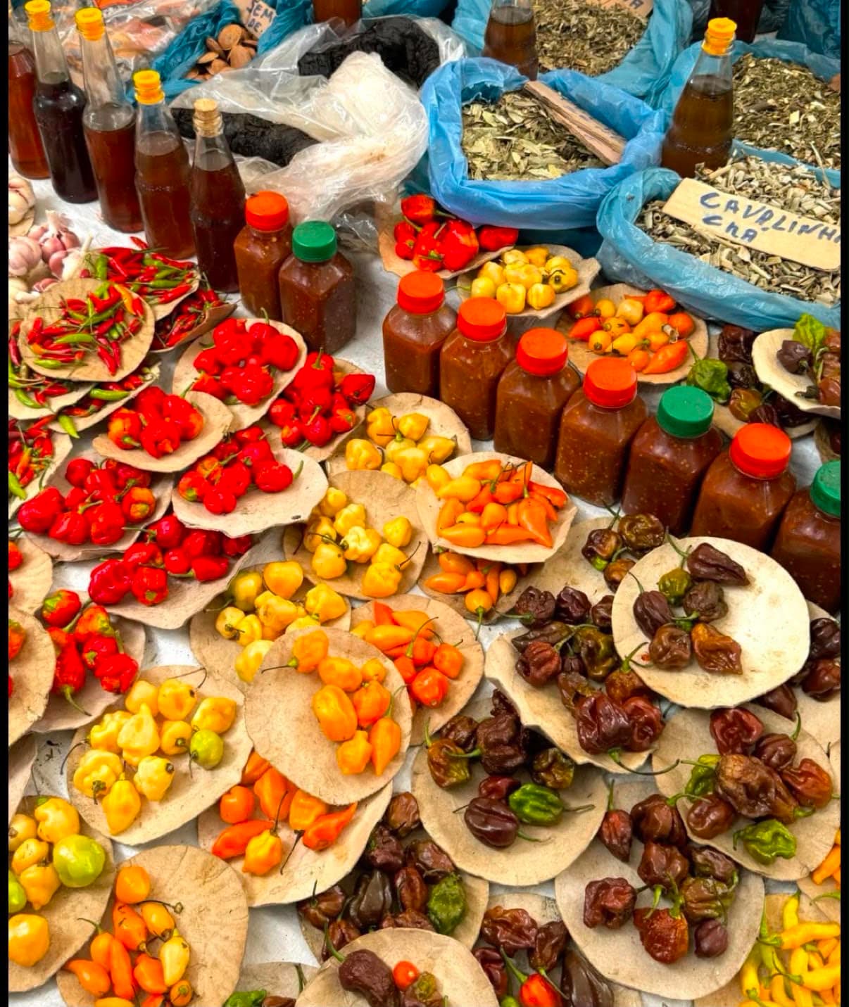 Rio's Art, Flavors & Hidden Gems